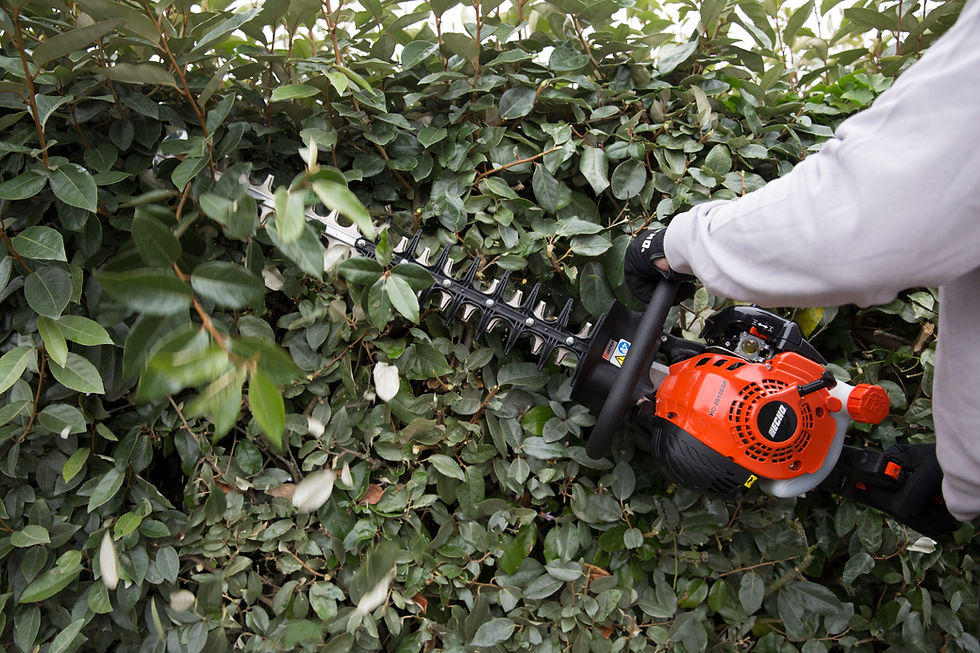 Thumbnail: Echo HC-2810ESR Petrol Hedgecutter