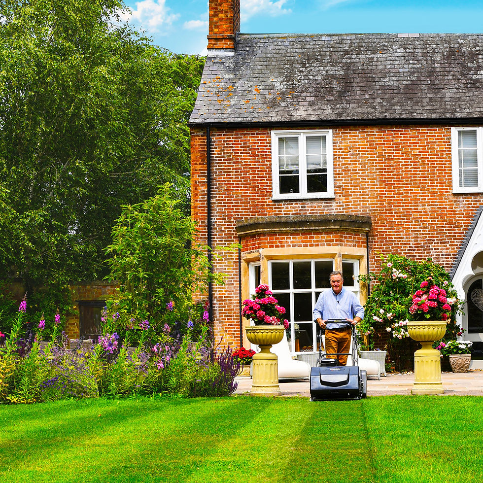Thumbnail: Cobra Fortis 14L Cylinder Lawnmower