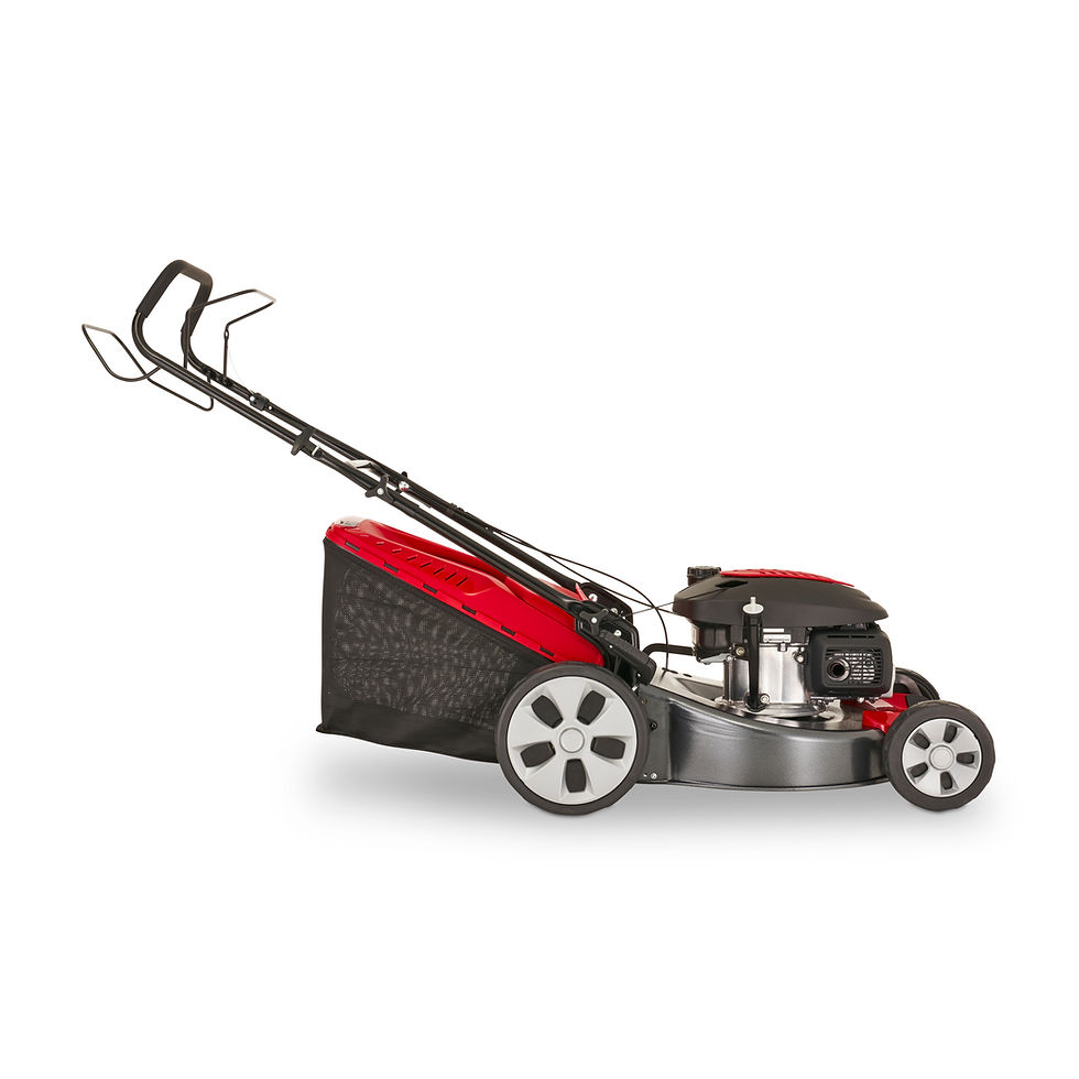 Thumbnail: Mountfield SP53 Elite 51cm Petrol Rotary Mower