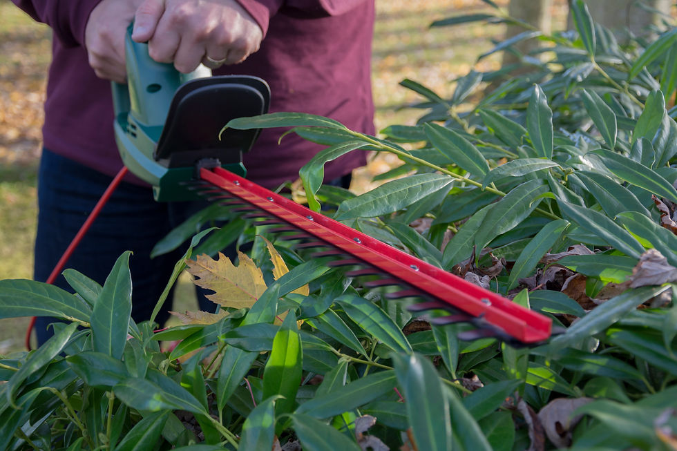 Thumbnail: Webb EHT500 500W 20" Electric Hedgecutter