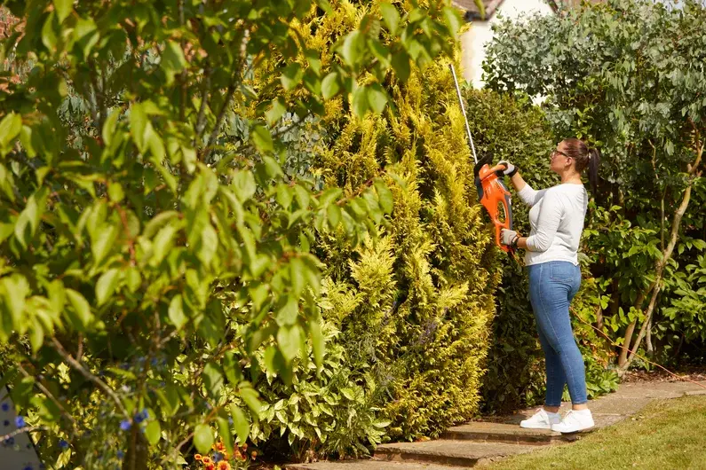 Thumbnail: Flymo EasiCut 600XT 60cm Electric Hedge Trimmer