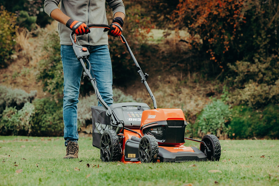 Thumbnail: Echo DLM 310/46P Battery Powered Push Lawnmower (Tool Only)