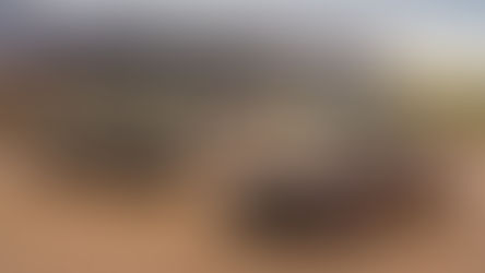 Chạm mốc 40.000 chiếc, dòng xe Bentley Flying Spur tiếp tục bay cao