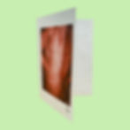 Thumbnail: “Trying to feel eachother” 🫂🏳️‍🌈 | Plantable Greeting Card 🌱