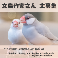 文鳥作家様募集