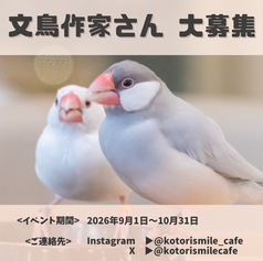 文鳥作家様募集