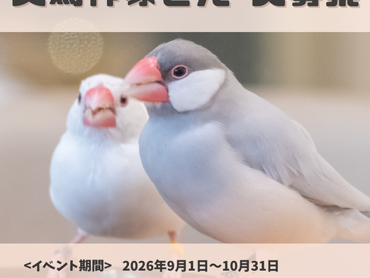 文鳥作家様募集