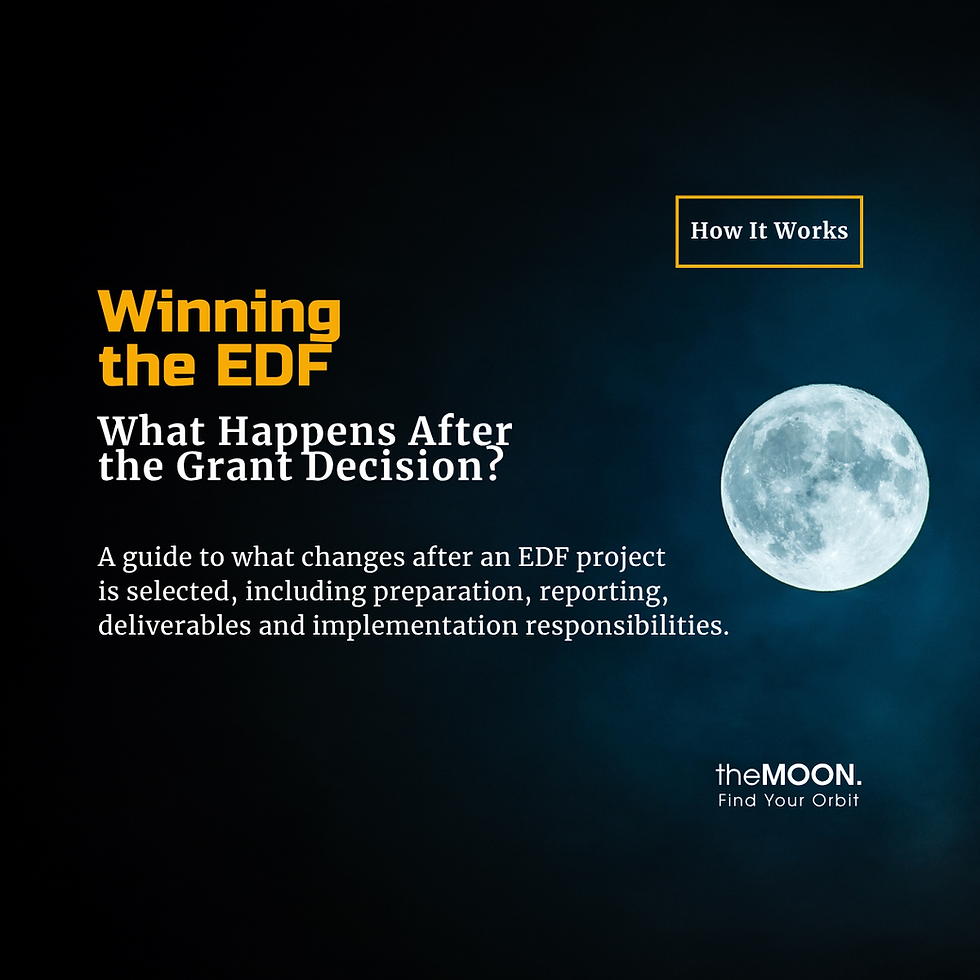 Winning EDF: What Happens After the Grant Decision?
