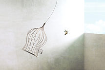 little birds escapes out of birdcage.jpg