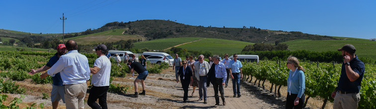 Chenin Day 1-316.jpg