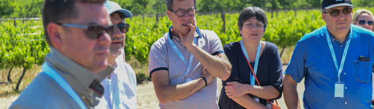 Chenin Day 1-309.jpg
