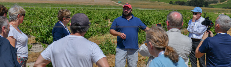 Chenin Day 1-314.jpg