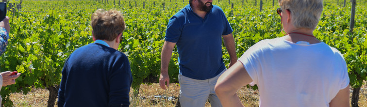 Chenin Day 1-321.jpg