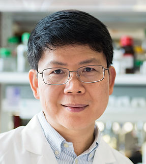 Chen-Zhijian_Foto-Trevor Paulhus.jpg