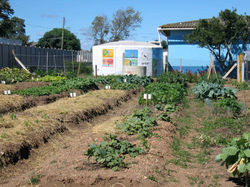 Cisternas FAO