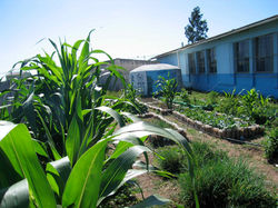 Cisternas nas escolas