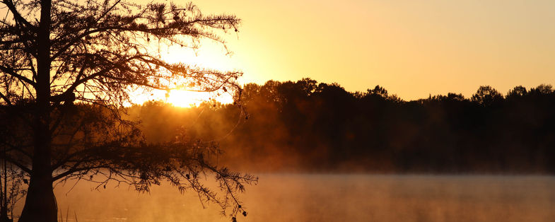 Sunset, trees, and water
