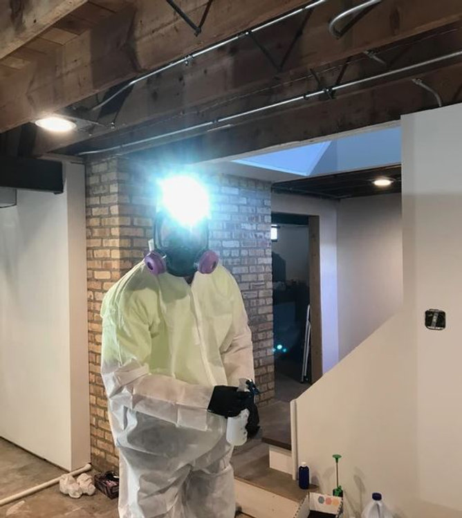 Toxic Mold-Pro | Mold Testing - Mold Remediation - Water Damage Restoration