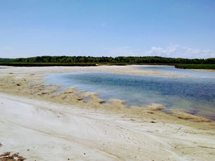 Cape Cod Things to do in the Fall...despite COVID