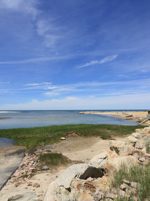 Paines Creek