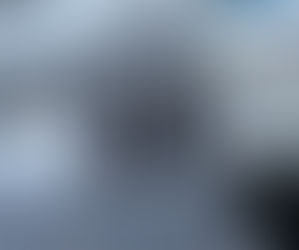 Inferriate su Misura a Bologna: Sicurezza e Stile per la Tua Casa