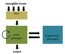 informatieverwerkingsmodel.PNG