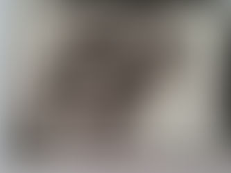 Saçınızı Öpebilir miyim?