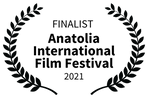 FINALIST - Anatolia International Film Festival - 2021.png