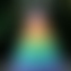 Çeşit Çeşit Pasta