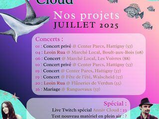 Résumé de nos projets en juillet