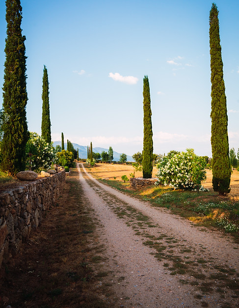 Nos sentiers qui traversent la ferme et en arrière-plan nous trouvons la chaîne de montagnes de Gredos, ne nous font pas voyager en Toscane.