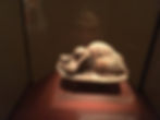The sleeping lady