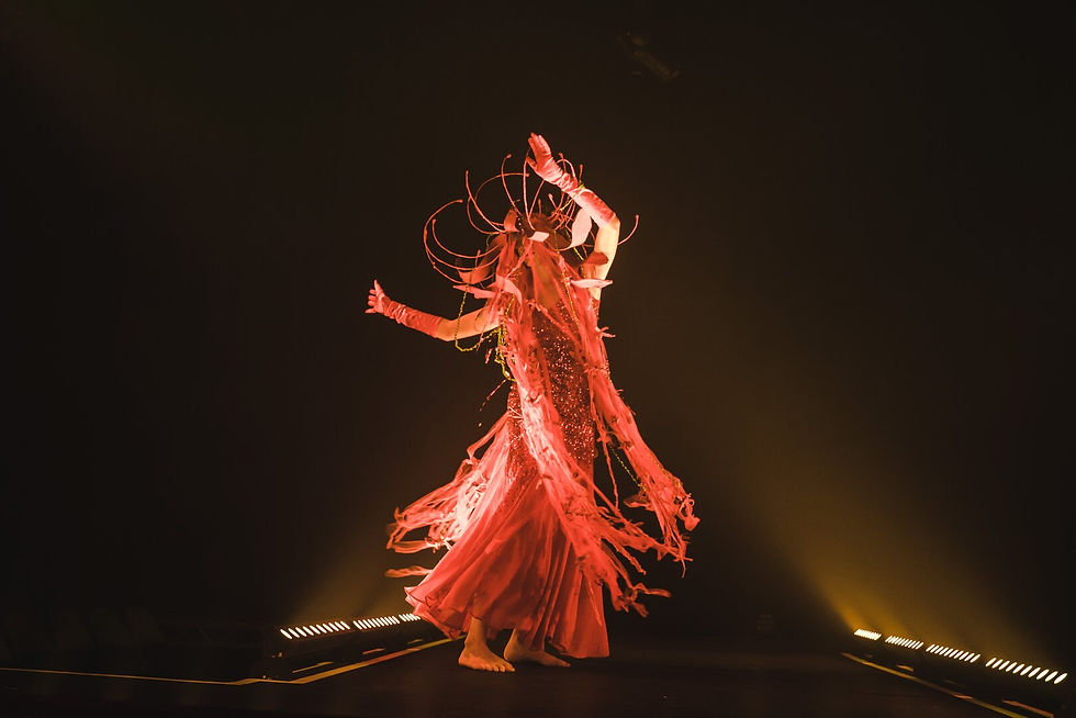 wearable art spinning alone higher quality.jpg