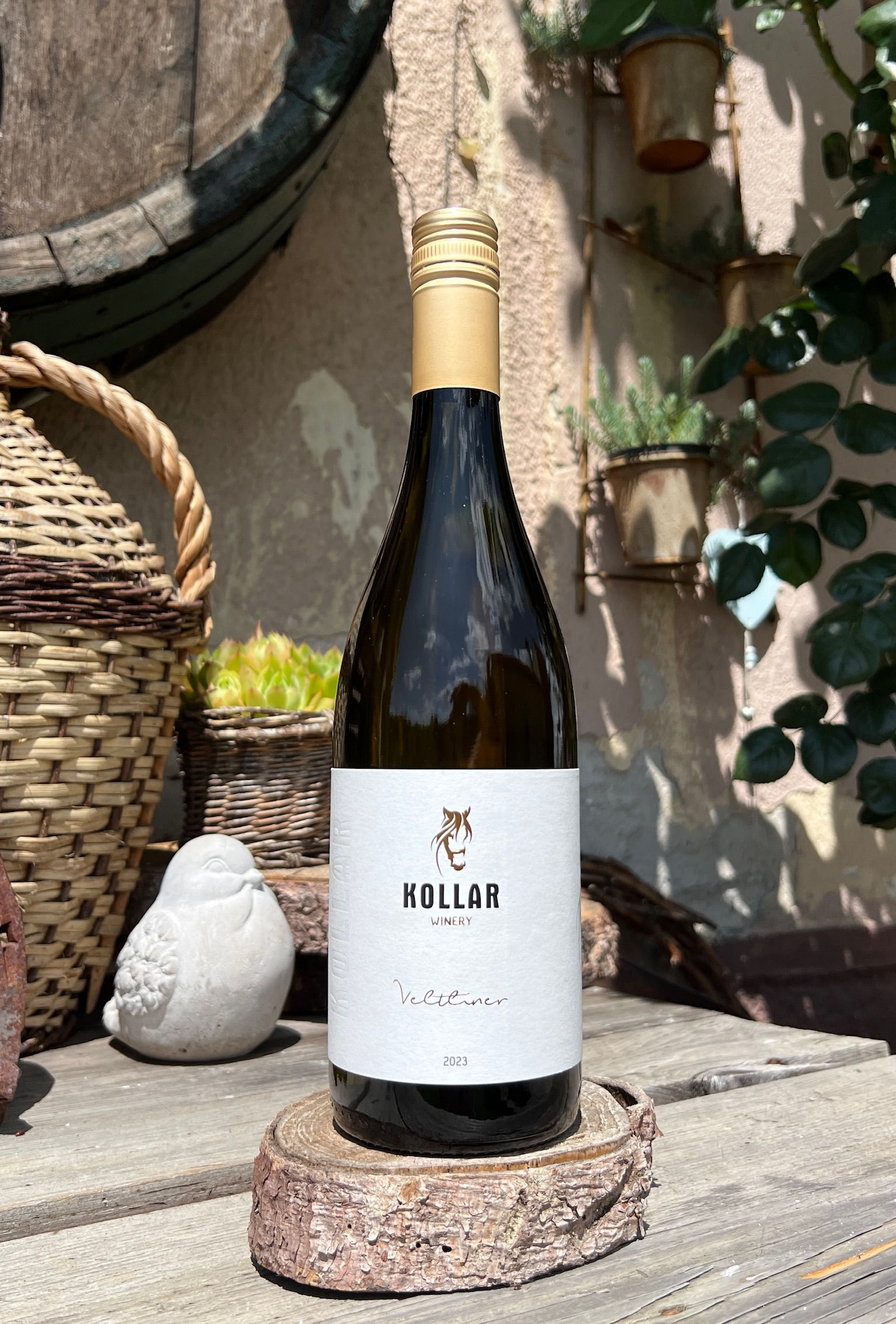 Veltliner 2023, suché