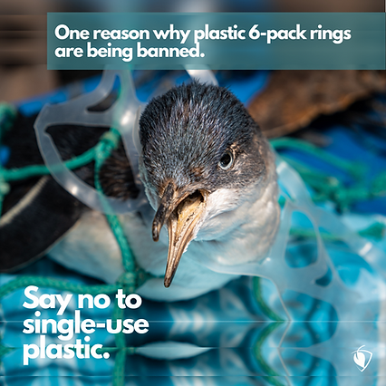 One Reason for Plastic Ban.png