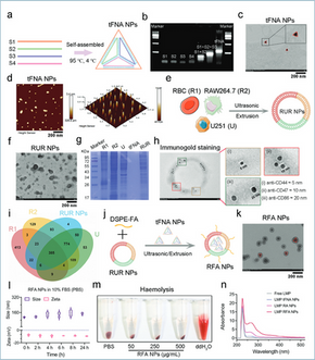 Efficient Delivery of Lomitapide using Hybrid Membrane-Coated Tetrahedral DNA Nanostructures for Glioblastoma Therapy