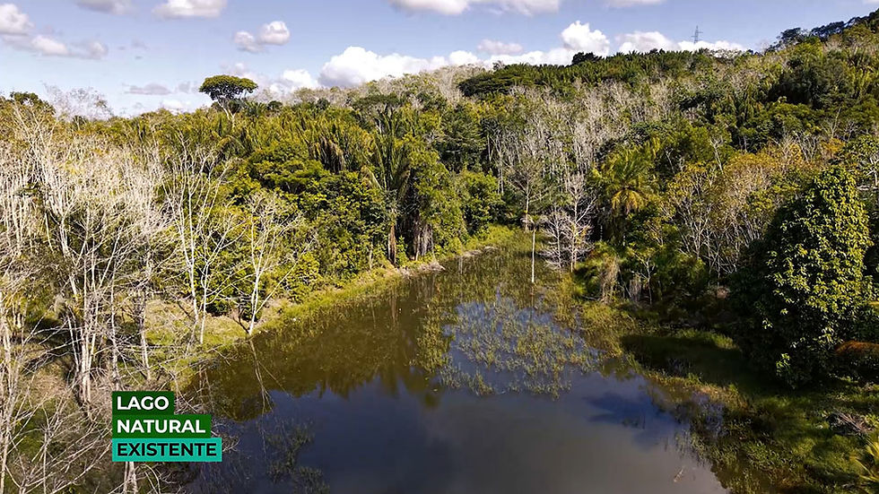 Lago natural em meio à mata densa, com céu azul; texto: LAGO NATURAL EXISTENTE.