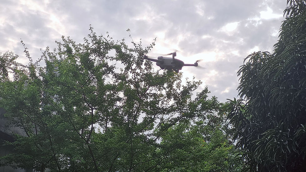 Um drone paira baixo, quase escondido entre as folhas de árvores, com o céu nublado e o sol por trás. A cena sugere um voo intrusivo sobre o limite da propriedade.