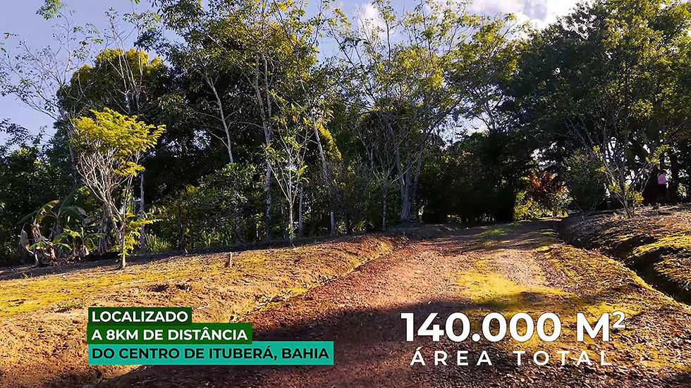 Estrada de terra em área rural arborizada; texto indica 140.000 m² e 8 km do centro de Ituberá, Bahia.