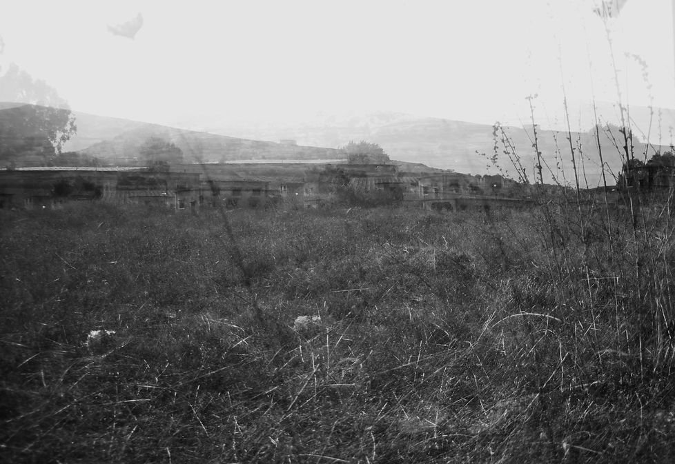 merom golan 7_edited.jpg