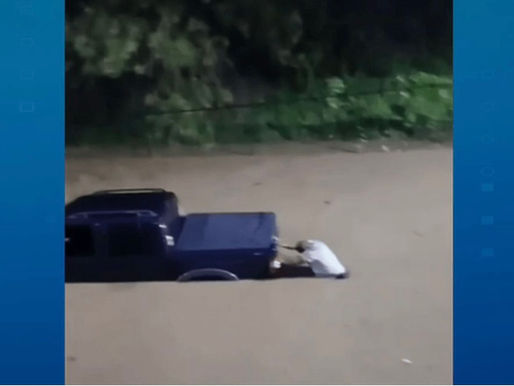 Temporais deixam mortos e rastro de destruição em SP e RJ