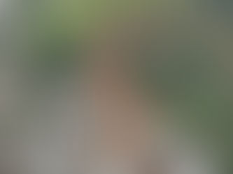 Quinto dia de buscas começa com 69 mortos e cinco desaparecidos em Juiz de Fora e região