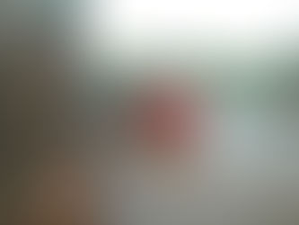 Câmera em carreta registra acidente envolvendo caminhão na BR-040