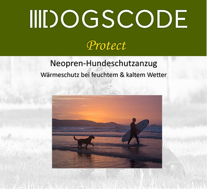 Dogscode Protect Flyer Bild.png