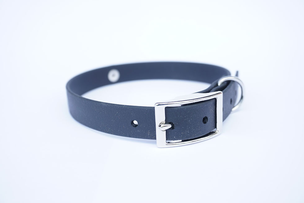 Miniaturbild: Schnallenhalsband aus Beta-Biothane®
