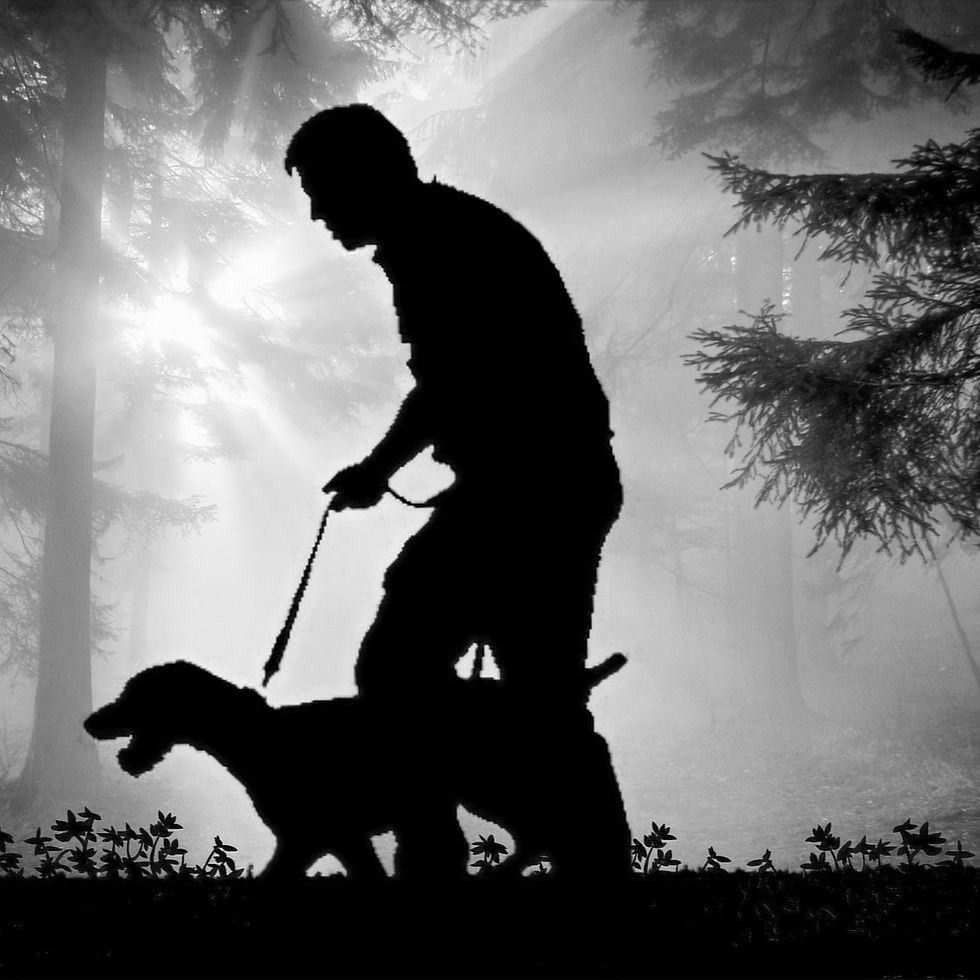Miniaturbild: Bushcraft Dogs Challenge Incentive
