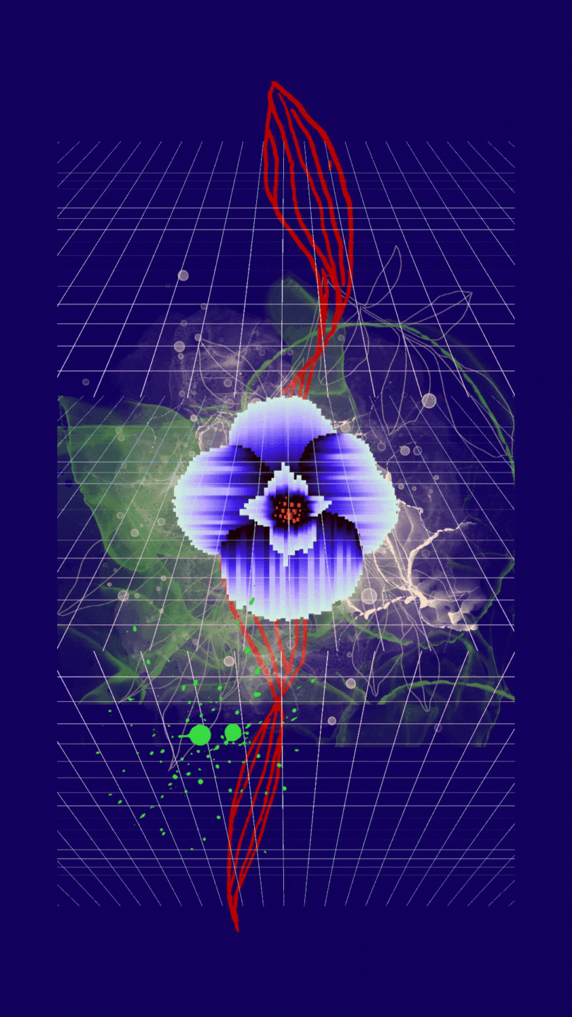 Neurosomatic Art Series