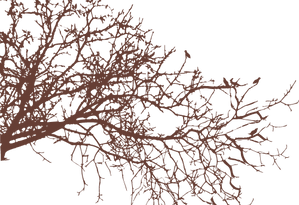 Untitled design (2).png