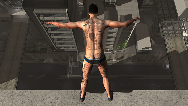 Snapshot_006.png