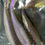 Thumbnail: Dual Chocolate/Purple Obake - 4" Curly Tail